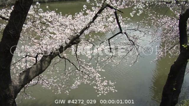 preview clip thumb