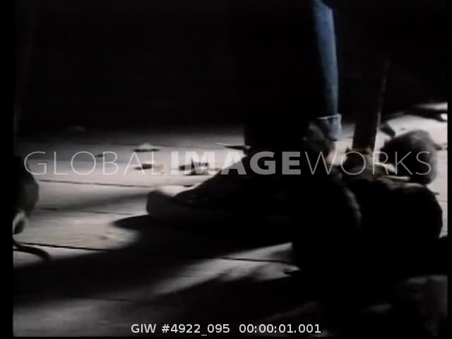 preview clip thumb